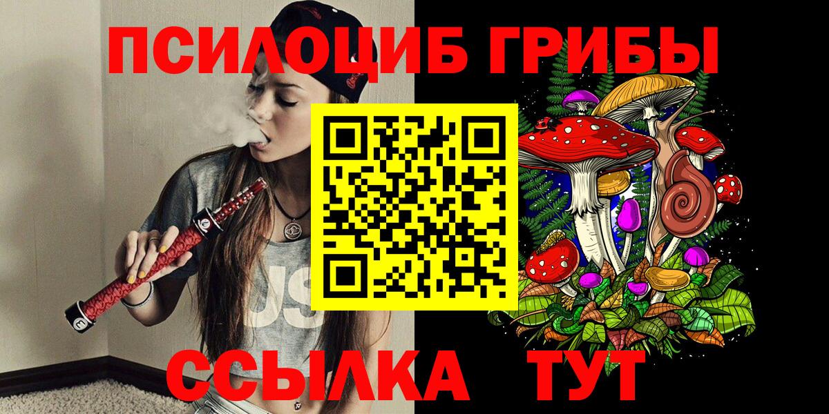 Псилоцибиновые грибы GOLDEN TEACHER Дятьково