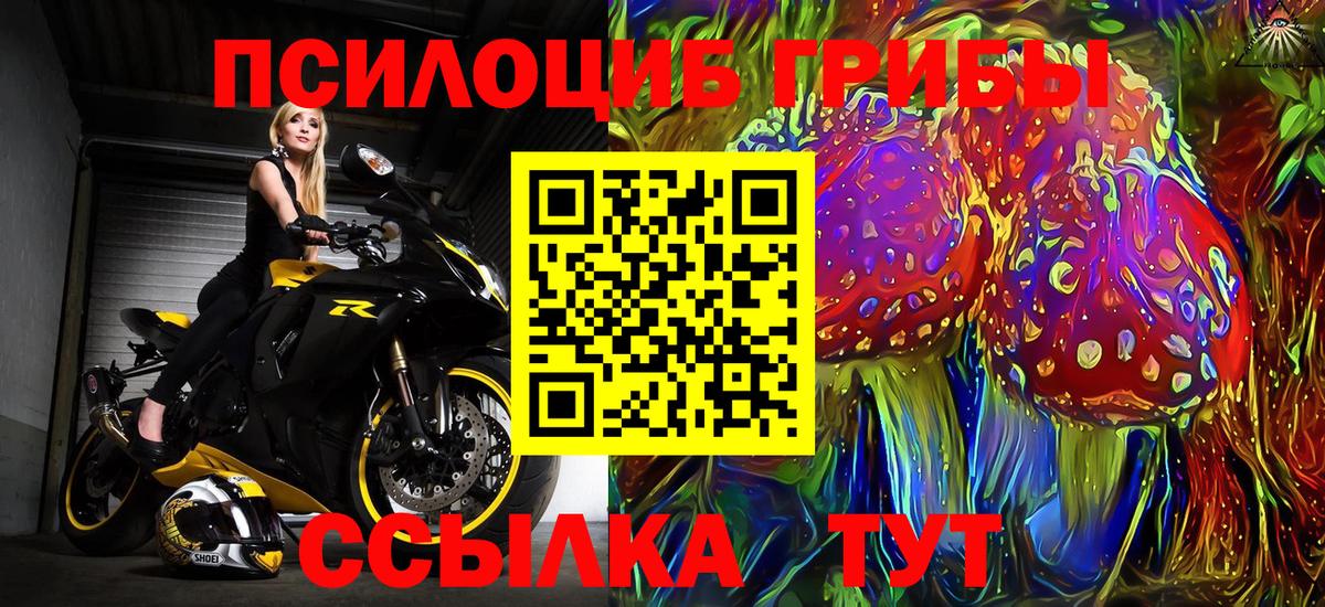 Галлюциногенные грибы Psilocybe  Вход с VPN  Дятьково  Псилоцибиновые грибы Psilocybe 